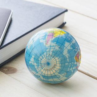 Effective worldwide 
distribution network